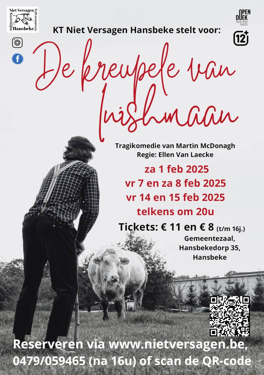 Flyer de kreupele van Inishmaan